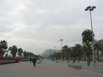 20499 Passeig de Colom.jpg